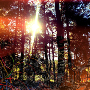 Eleventh (Paranoid Rubedo')