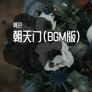花好月圆夜（BGM版）
