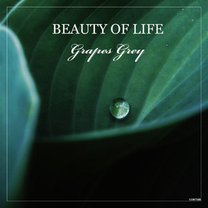 Beauty of Life (Original Mix)