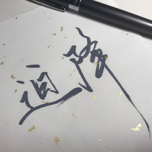 迫降（翻自 张伊美）