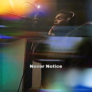 Never Notice