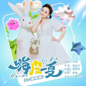 嗨皮一夏（DJ女版）