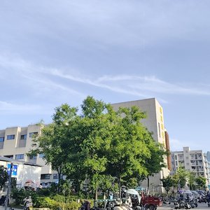 马rare之歌