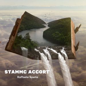 Stammc accort