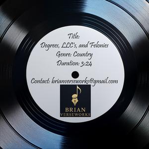 Degrees, LLC's, and Felonies