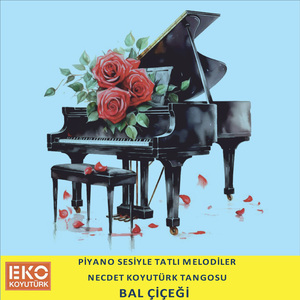 Bal Çiçeği (Piyano Sesiyle Tatlı Melodiler)