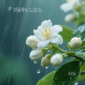 茉莉雨 (Cover 林俊杰)