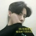 樱花树下的约定