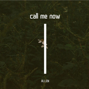 Call Me Now(ALLEN Bootleg)（ALLEN remix）