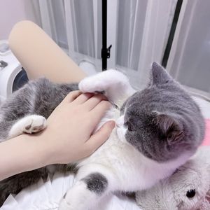 盛夏旧梦 伴奏