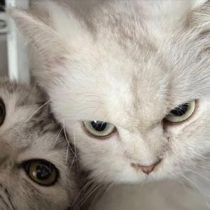 独行侠+爱如潮水+说散就散+他