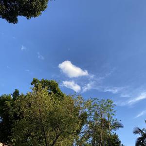 初来乍到