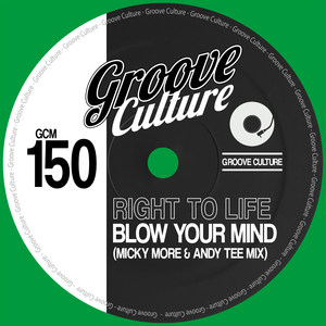 Blow Your Mind (Micky More & Andy Tee Extended Mix)