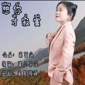 想你才寂寞 (伴奏)