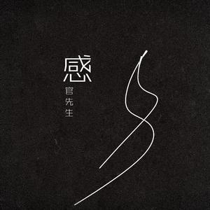 感官先生 Cover 伴奏（翻自 刘凤瑶）