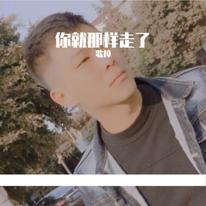 你就那样的走了