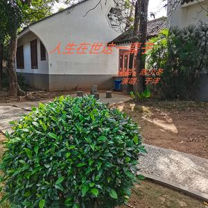 人生在世这一辈子