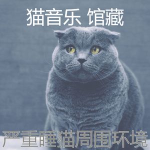 微妙的小猫心情