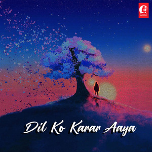 Dil Ko Karar Aaya Lofi