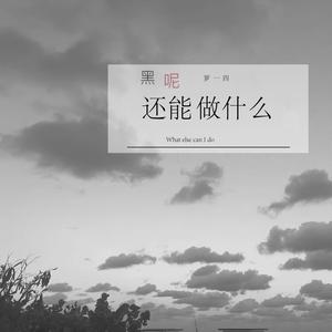 还能做什么