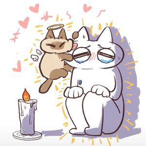 晚安豆泥 acoustic