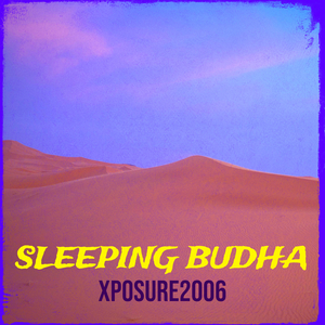 Sleeping Budha