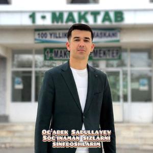 Sog'inaman sizlarni sinfdoshlarim