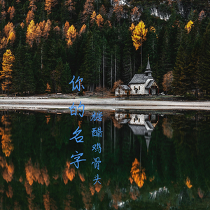 你的名字