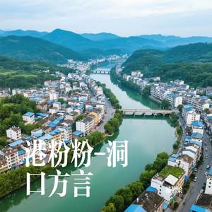 港粉粉-洞口方言