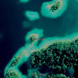 抚慰的沙滩回忆