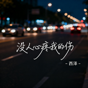 没人心疼我的伤（抖音热播版）