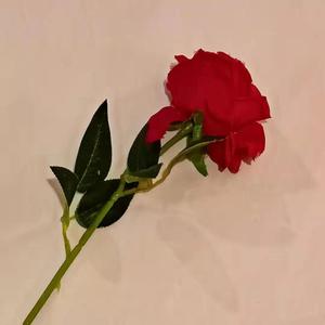 别再沮丧（Prod.by CHXX）