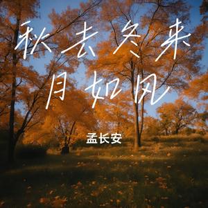 秋去冬来月如风wav