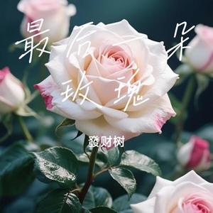 最后一朵玫瑰