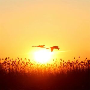 追逐梦想不退缩