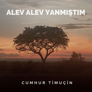 Alev Alev Yanmıştım
