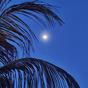 DAYS OF DISTRESS, CALAMITOUS DAYS!