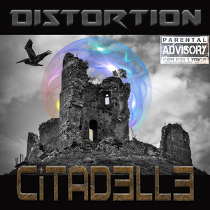 Distortion