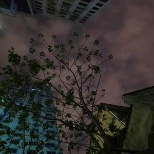 冬（Prod. by Jeston）