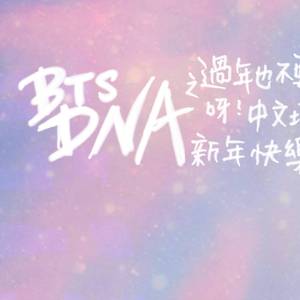 BTS-DNA 中翻（翻自 BTS）