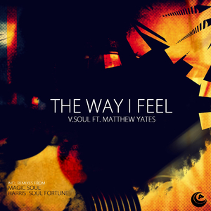 The Way I Feel (Magic Soul Imperial Mix)