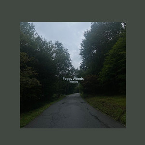 coral, shells, and stones