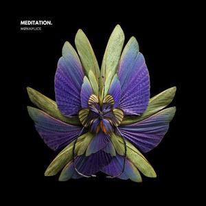 Pulse of the Hollow.