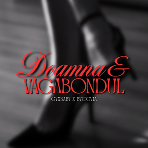 Doamna si Vagabondul