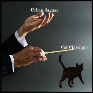 Avalon Under the Midnight Suns