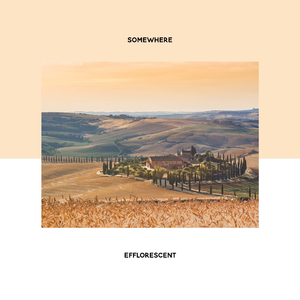 Somewhere