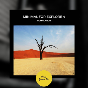 Palm Trees in the Snow