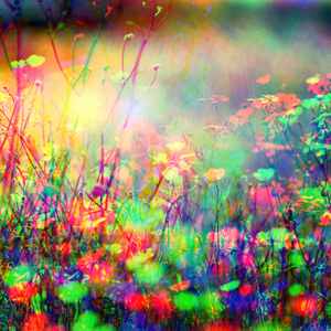 安静的动机声音