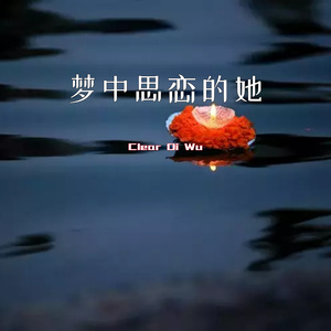 梦中思恋的她