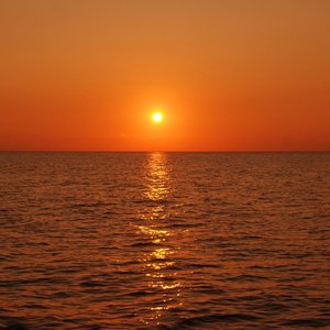 祖国不会忘记（钢琴改编版）